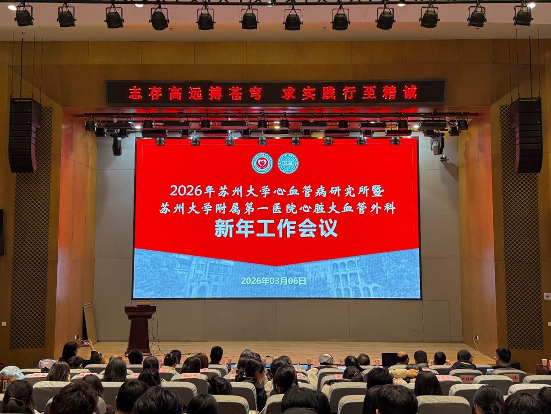 凝心聚力谋新篇，实干笃行促发展...